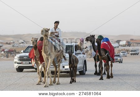 Abu Dhabi, United Arab Emirates, 15th December 2017: Bedoin Man With His Camels On The Million Stree
