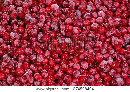Frozen Food, Cooled To Low Temperature Cherry
