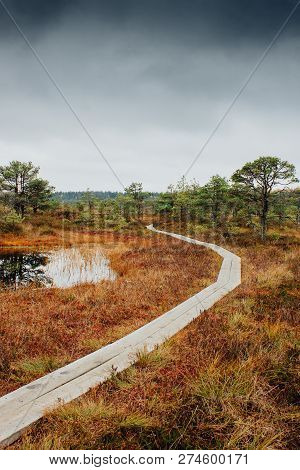 Wooden Trail Over Kakerdaja Bog In Estonia