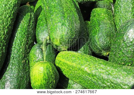Green Raw Cucumber Whole Healthy Vegetable Diet Food Low Kcal