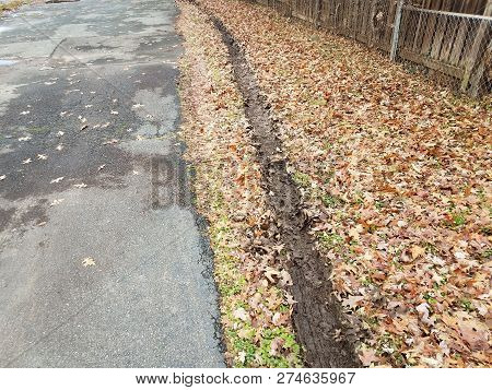 Muddy Tire Track In Fallen Leaves With Black Asphalt