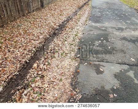 Muddy Tire Track In Fallen Leaves With Black Asphalt