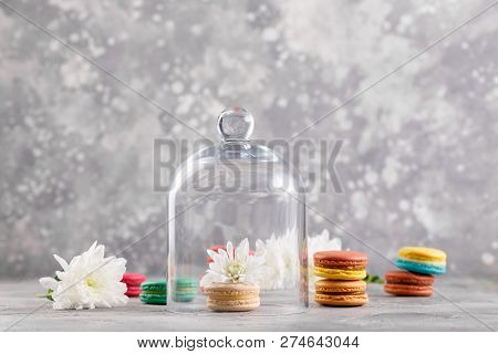 Macarons Under A Glass Dome On A Gray Background With Flowers Of Chrysanthemums.