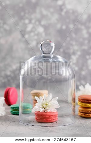 Delicate Pink Macarons With A Chrysanthemum Flower Under A Glass Dome On A Gray Background.