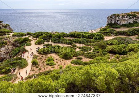 Path Mediterranean Sea Cala Sa Almunia Forest Beach
