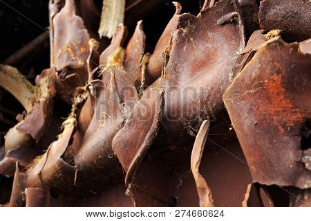 The Rusted Brown Pieces Of Torn Metal.