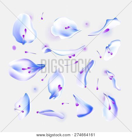 Vector Set Of Blue Falling Rose And Sakura Petals. Blurred Spring Blossom Petal Set With Decorative 