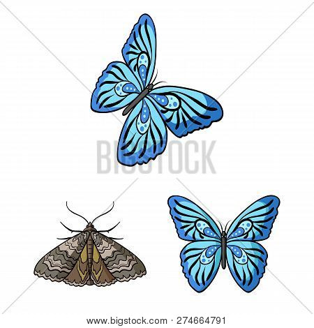 Vector Design Of Color And Spring Symbol. Set Of Color And Fly Stock Symbol For Web.