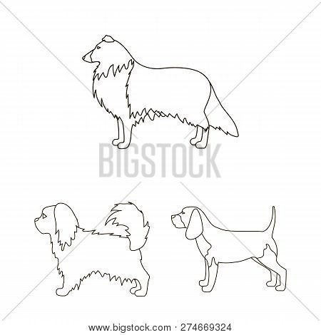 Vector Design Of Cute And Puppy Logo. Set Of Cute And Animal Vector Icon For Stock.