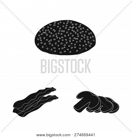 Isolated Object Of Burger And Sandwich Icon. Set Of Burger And Slice Vector Icon For Stock.