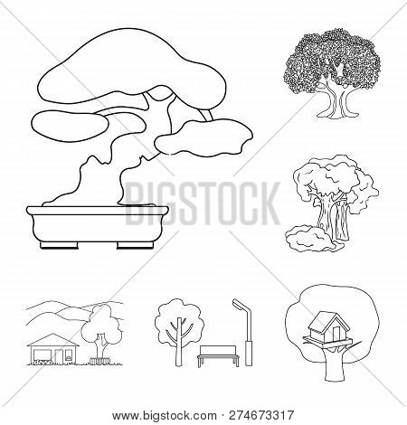 Vector Illustration Of Tree  And Forest Symbol. Set Of Tree  And Green Stock Vector Illustration.