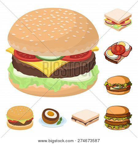 Isolated Object Of Sandwich And Wrap Sign. Set Of Sandwich And Lunch Vector Icon For Stock.