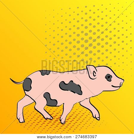 Pop Art Background Pig Pet Mini Pig. Raster Of A Vintage, Retro Style Comic Strip