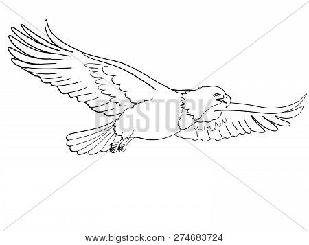 Bird Eagle, Falcon. Raster Of An Imitation Retro Comic Style. Isolated Object On White Background. B