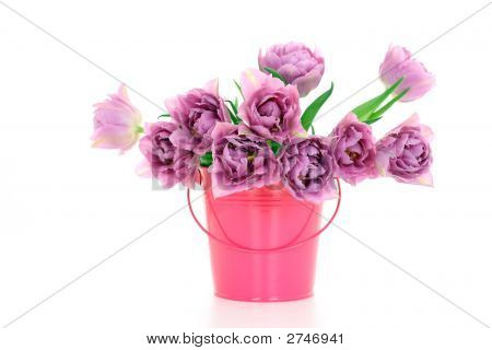 Temps de printemps !