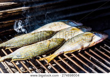 Grilling Fish On A Bbq Barbecue Grill Over Hot Coal. Preparing And Roasting Salema Porgy, Sarpa Salp