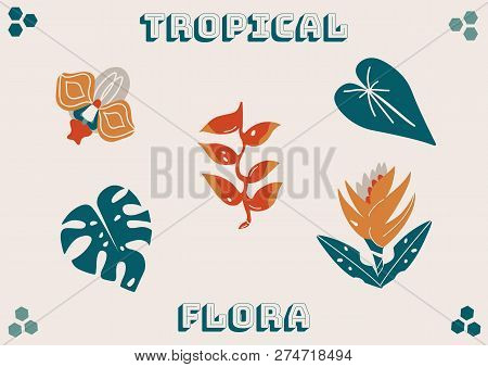 Tropical Flowers And Plants Vector Illustration. Exotic Flowers And Leaves And Text On Beige Backgro