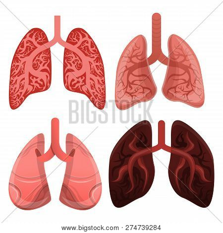 Lung Icon Set. Cartoon Set Of Lung Vector Icons For Web Design
