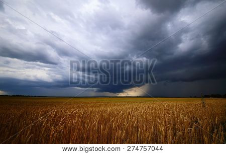 Powerful Summer Storm Moving On Agriculture Field