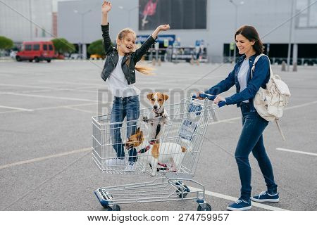 Glad Young Mother, Daughter And Their Two Dogs In Shopping Cart Return Home From Mall, Make Shopping
