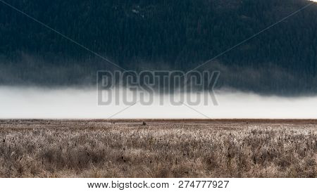 The Fog Rising From Pitt-addington Marsh On A Cold Fall Morning