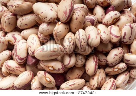 ถั่ว borlotti ปิด
