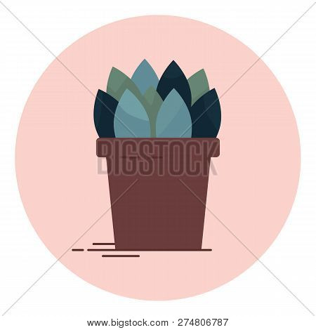 An Indoor Flower In Pot Vector Illustration