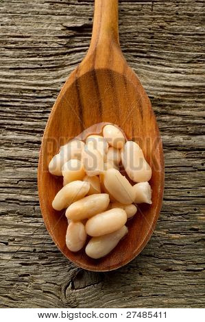 Cannellini Bohnen über Löffel