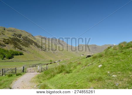 Bowfell Above The Head Of Mickleden Valley In The English Lake District
