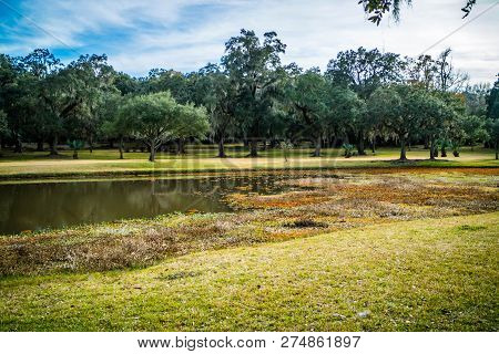 A Scenic And Peaceful View Of The Park At Avery Island, Louisiana