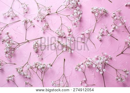 Pattern From Fresh White Gypsofila  Flowers On  Pink Textured Background. Top View. Flat Lay.
