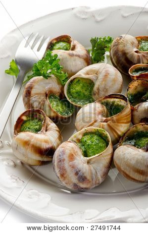 BÉLSZINJAVA csiga au gratin