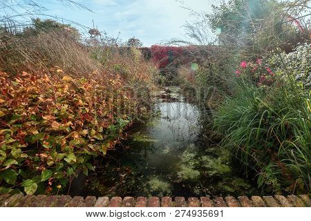 Pond In A Garden In Full Autumn Colors Somewhere In The Netherlands