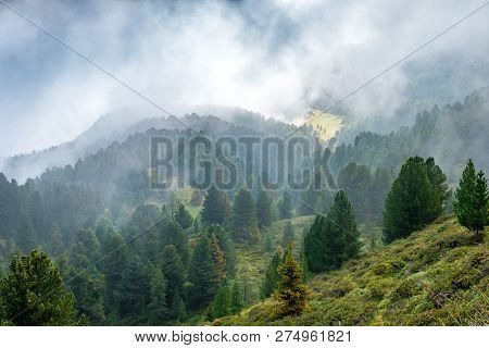 Forest And Pastures On The Slopes Of Alpine Mountains In The Clouds