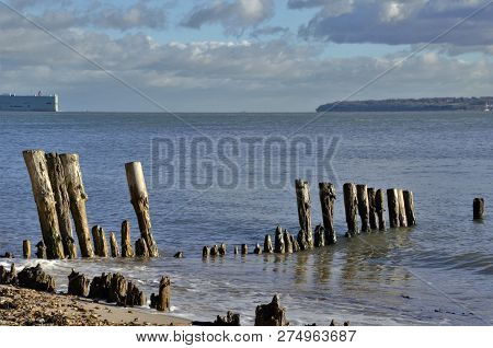 Old Decaying Wooden Breakwater At Lepe Beach , Uk