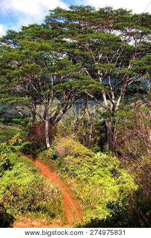 Kalalau Trail On Kauai Hawaii