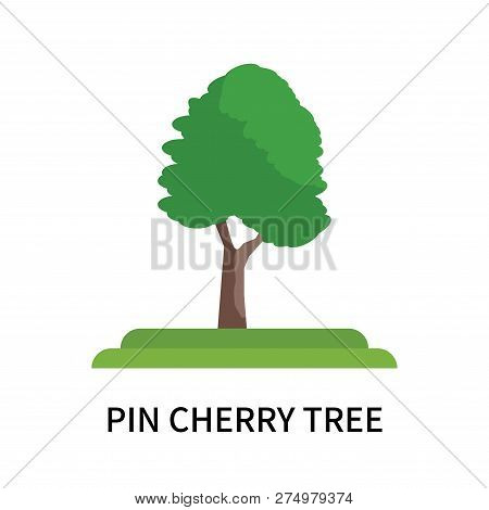 Pin Cherry Tree Icon Isolated On White Background. Pin Cherry Tree Icon Simple Sign. Pin Cherry Tree