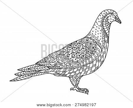 Drawing Zentangle Dove, For Coloring Book For Adult Or Other Decorations. Black And White Version Il