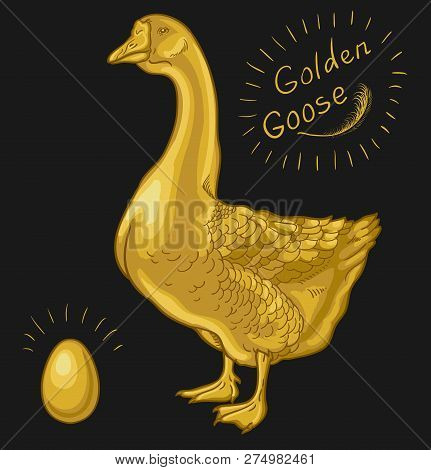 Golden Goose, Goose On A Black Background, Golden Egg