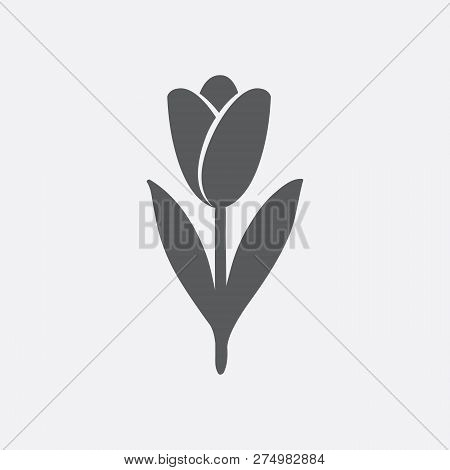 Tulip Icon In Shades Of Gray. Hand Drawn Style Vector Design Illustrations