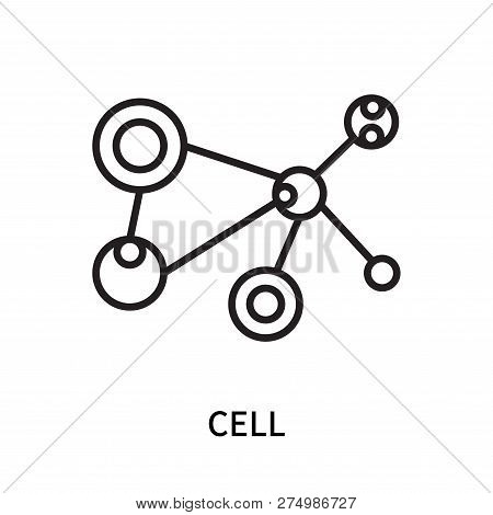 Cell Icon Isolated On White Background. Cell Icon Simple Sign. Cell Icon Trendy And Modern Symbol Fo