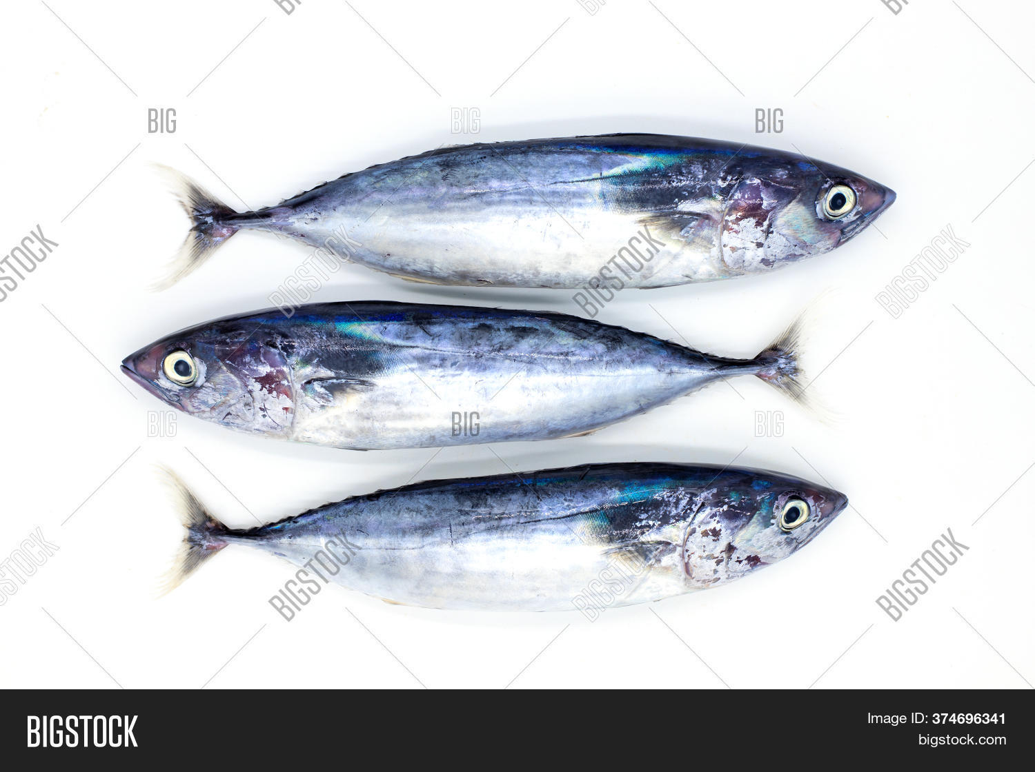 Three Sea Sardines On Image & Photo (Free Trial) Bigstock