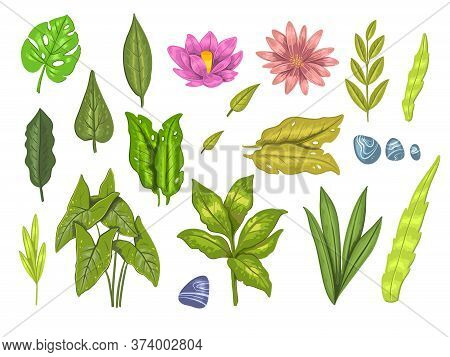Healthy Food Vector Background. Set Of Two Vegetarian Concepts For Restaurants, Menu, Recipes And Ki
