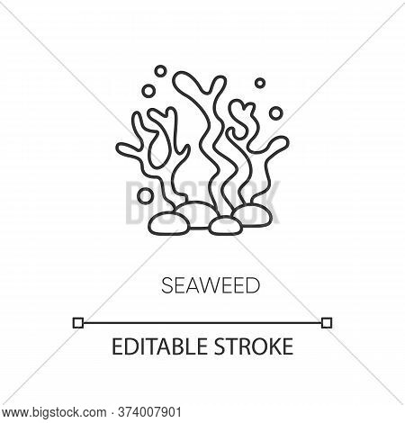 Seaweed Pixel Perfect Linear Icon. Natural Component. Skincare Treatment. Marine Grass Extract. Thin