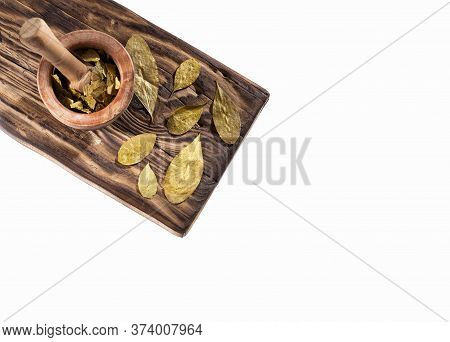 Dried Coca Leaves - Erythroxylum Coca. Text Space