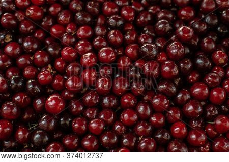 Close Upu Picture Of A Lot Of Burgundy, Red Cherries Sold On The Market. Fruit Market