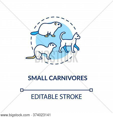Small Carnivores Concept Icon. Wild And Domestic Animals. Food Chain Predators. Land Ecosystem Idea 