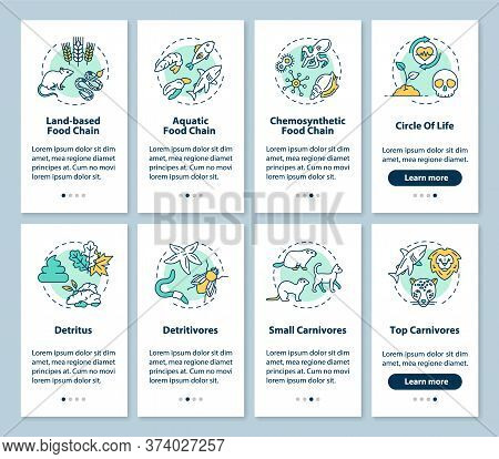 Food Chains Onboarding Mobile App Page Screen With Concepts Set. Biological Process. Ecosystem Walkt
