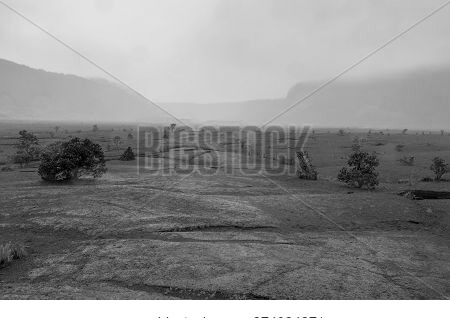 Flat Low Crack Surface Of Volcanic Landscape Under Low Mist With Converging Lines On Island Of Hawai