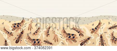 Colorful Locusts Attacking Plants Field Horizontal Background. Swarm Of Insects Threatening Food Sec